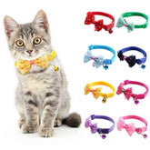 Cat Collar
